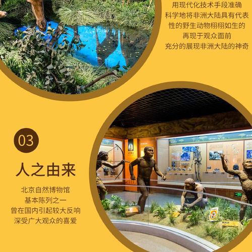 北京自然博物馆预约-北京自然博物馆预约官网入口