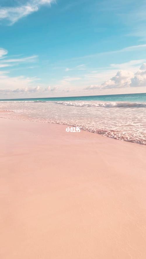 巴哈马粉色沙滩-巴哈马粉色沙滩图片