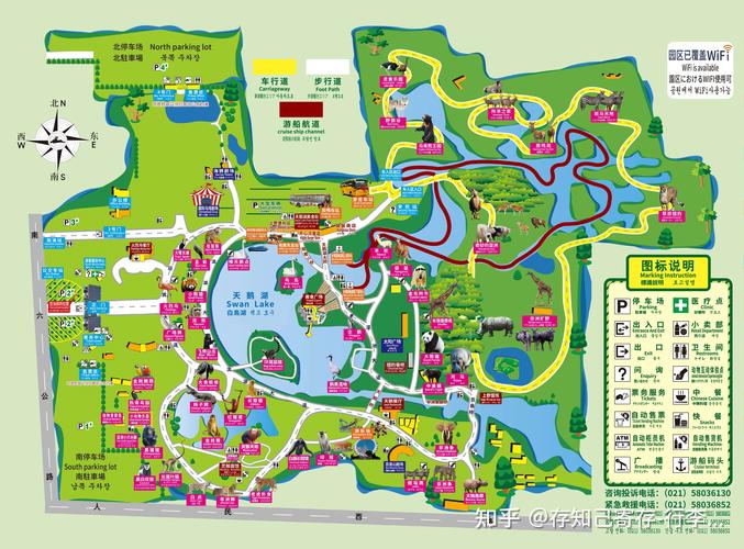 上海野生动物园最佳游览顺序_上海野生动物园一日游攻略2023